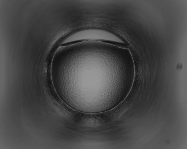 X0000091490731200708301935