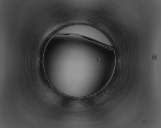 X0000091490732200708301935