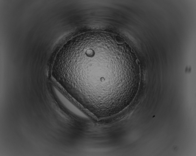 X0000091490733200708301935