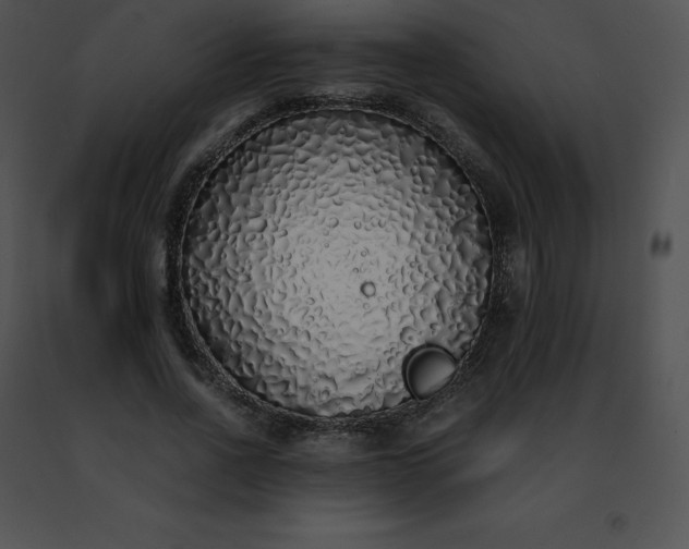 X0000091490734200708301935