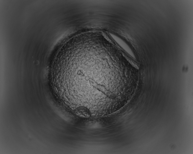 X0000091490735200708301935