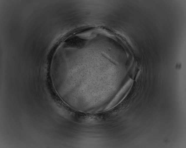 X0000091490736200708301935