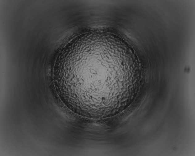 X0000091490737200708301935