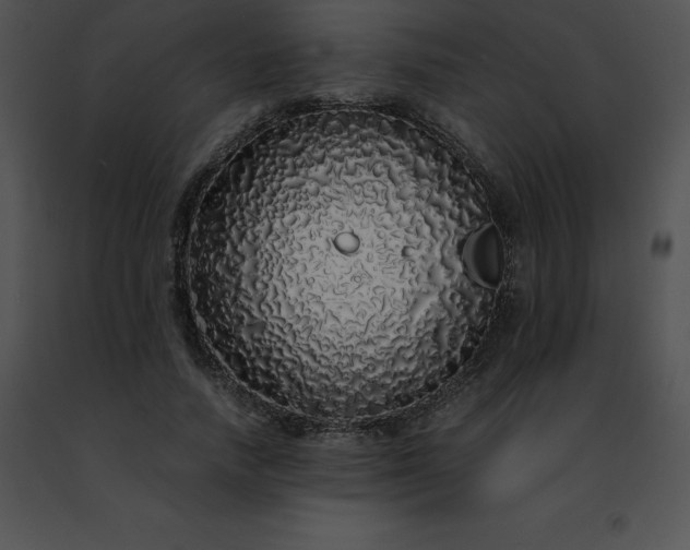 X0000091490738200708301935