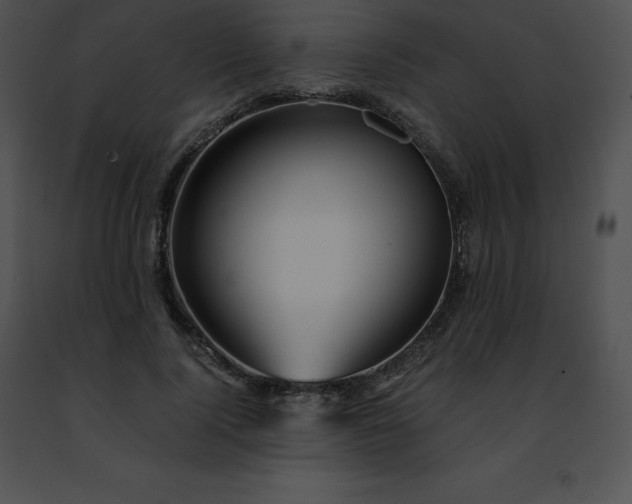 X0000091490740200708301935