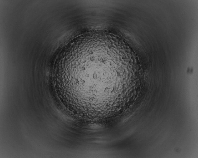 X0000091490741200708301935