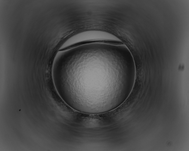 X0000091490743200708301935