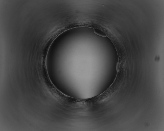 X0000091490744200708301935