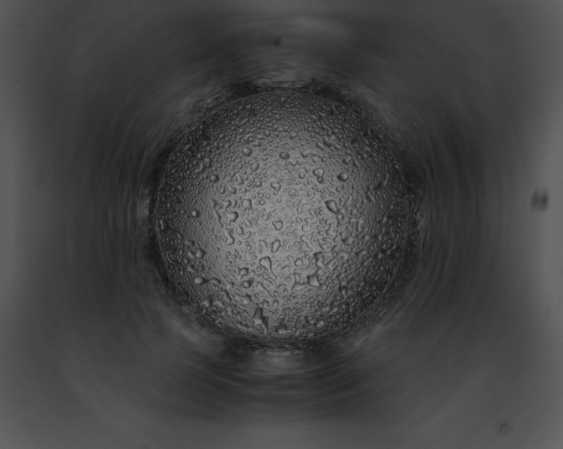 X0000091490745200708301935