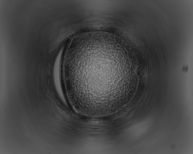 X0000091490746200708301935