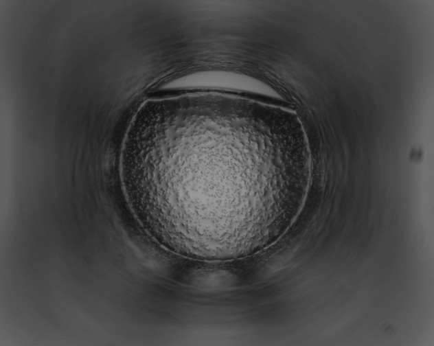 X0000091490747200708301935