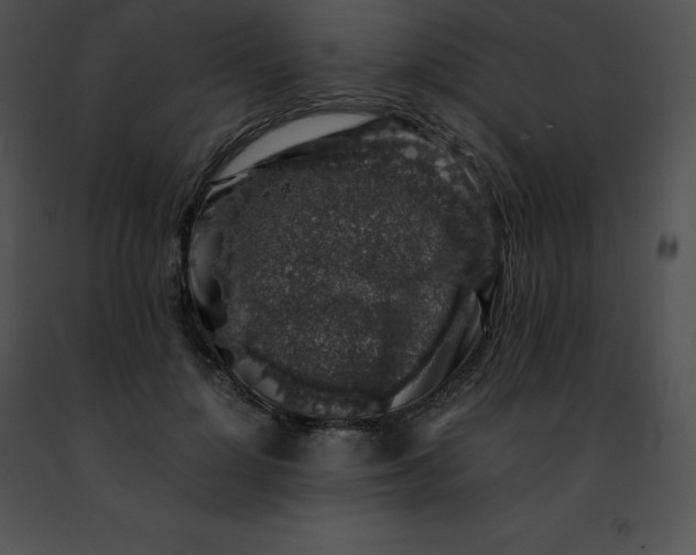 X0000091490748200708301935