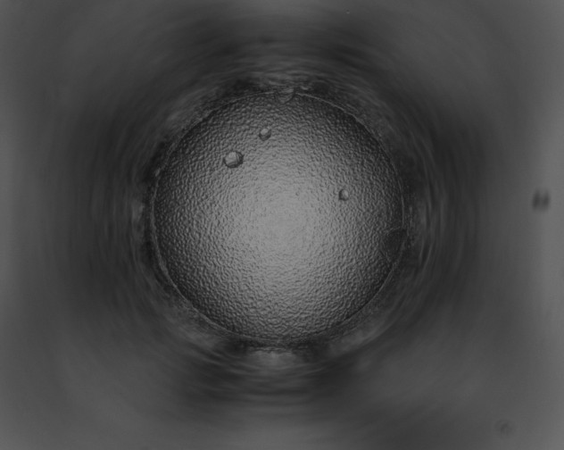 X0000091490749200708301936