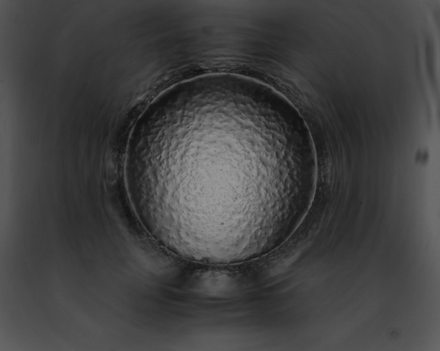 X0000091490751200708301936