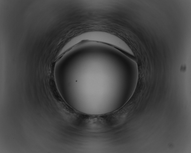 X0000091490752200708301936