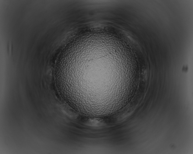 X0000091490753200708301936