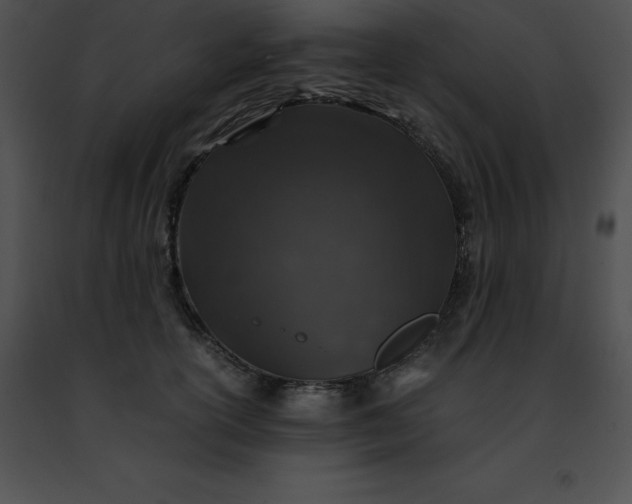 X0000091490754200708301936