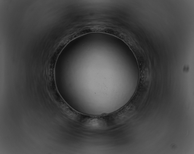 X0000091490755200708301936