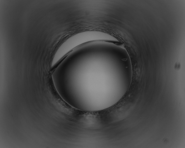 X0000091490756200708301936