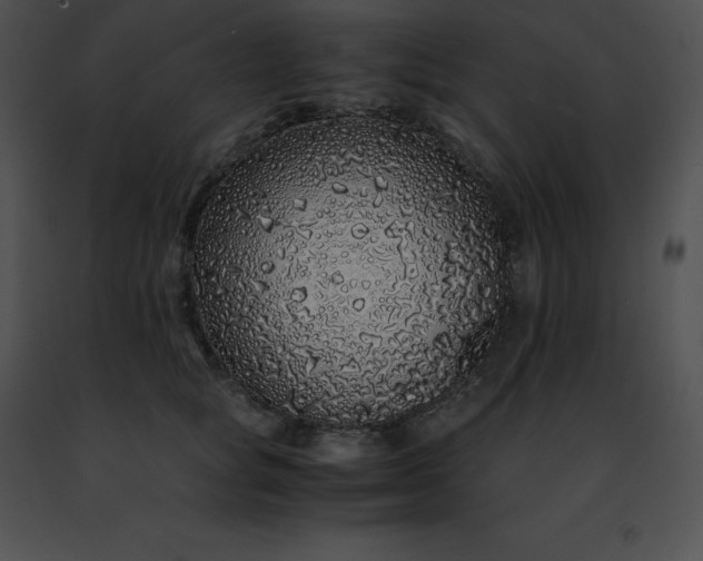 X0000091490757200708301936