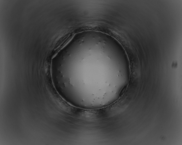 X0000091490758200708301936