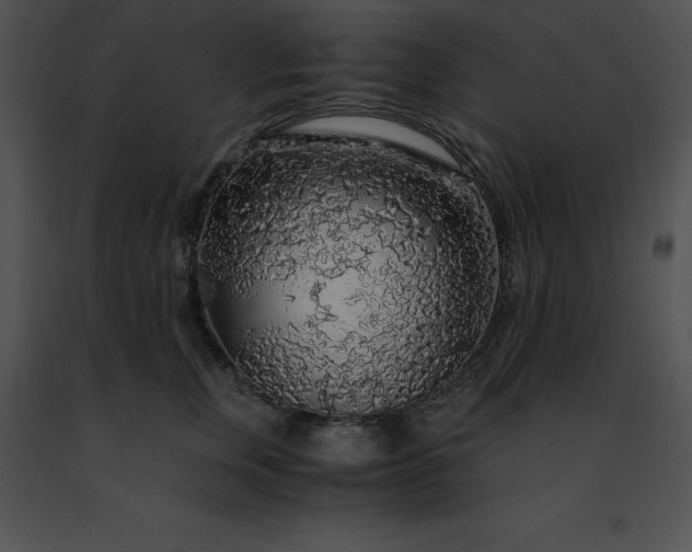 X0000091490759200708301936