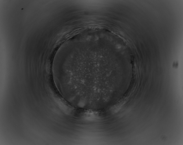 X0000091490760200708301936