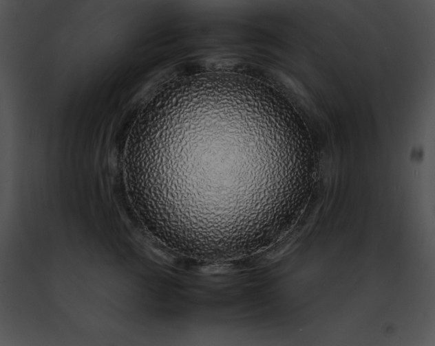 X0000091490761200708301936