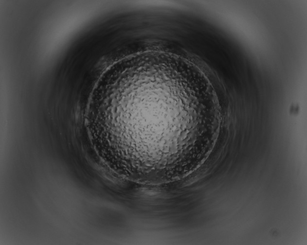 X0000091490763200708301936