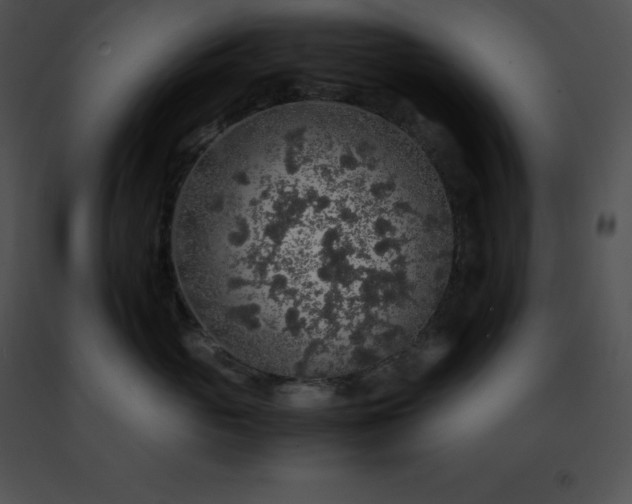 X0000091490765200708301936