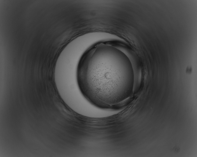 X0000091490766200708301936