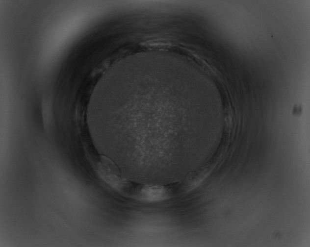 X0000091490767200708301936