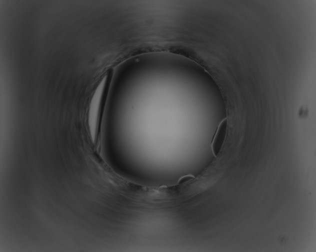 X0000091490768200708301936