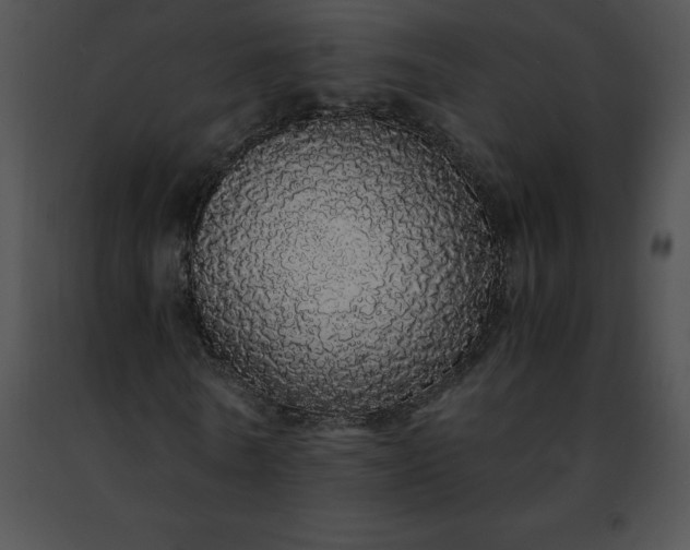 X0000091490770200708301935