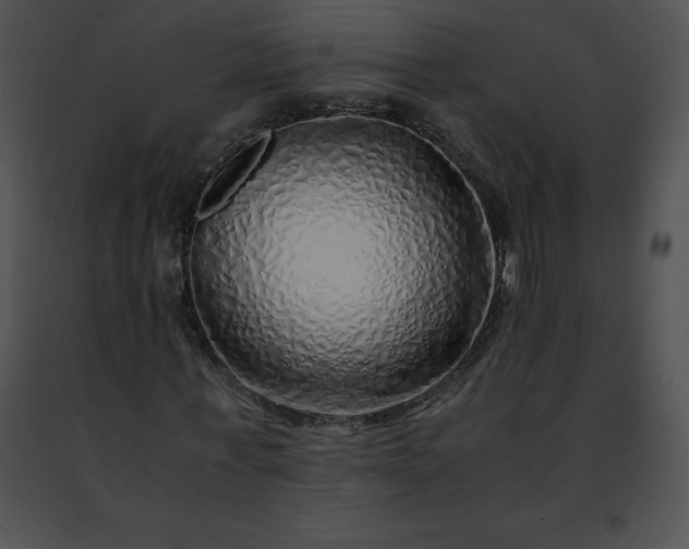 X0000091490771200708301935