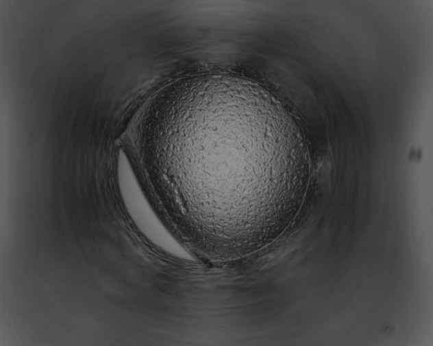 X0000091490772200708301935