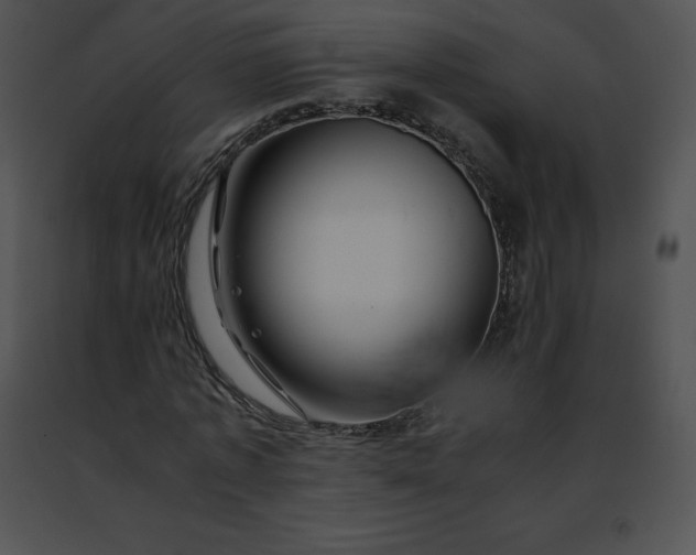 X0000091490773200708301935