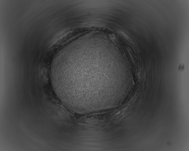 X0000091490774200708301935