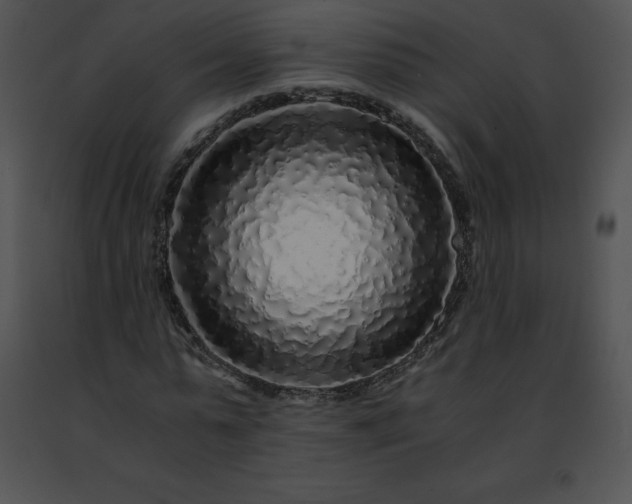 X0000091490775200708301935