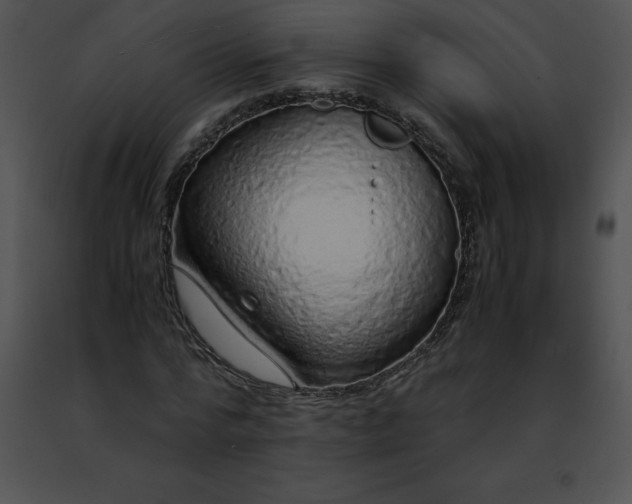 X0000091490776200708301935