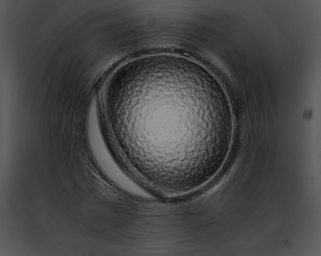 X0000091490777200708301935