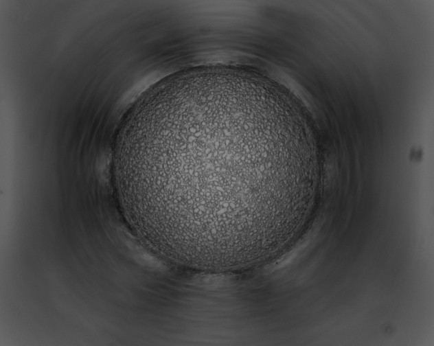 X0000091490778200708301935