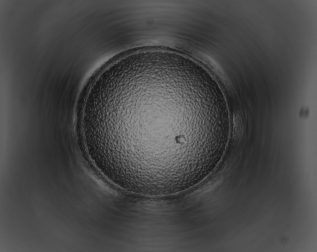 X0000091490780200708301935