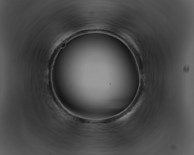 X0000091490781200708301935