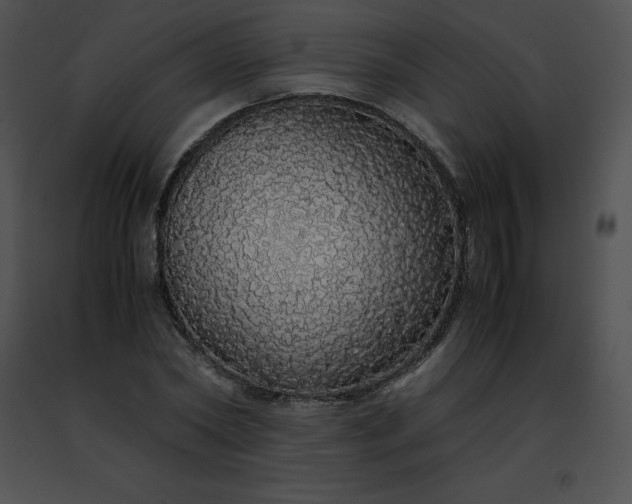 X0000091490782200708301935