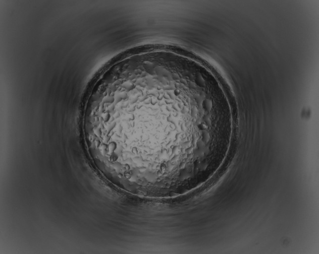 X0000091490783200708301935