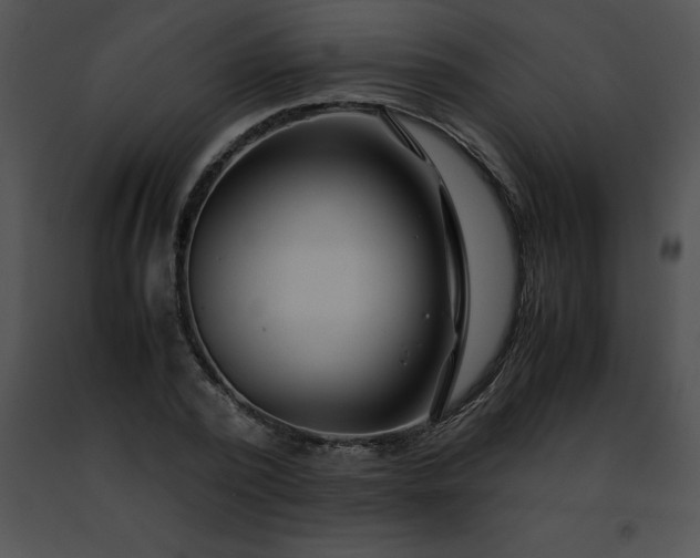 X0000091490784200708301935