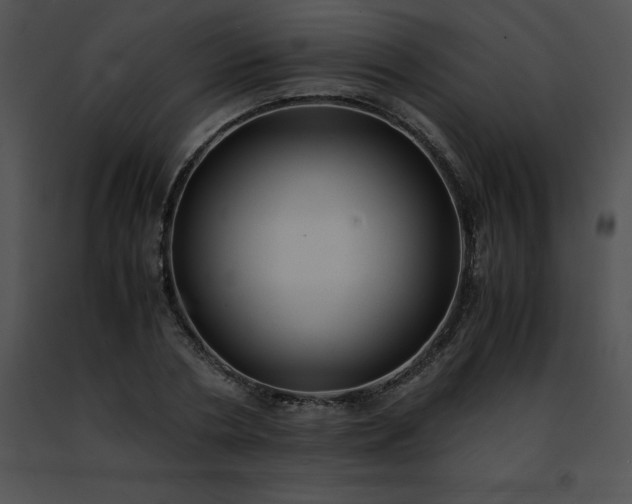 X0000091490786200708301935