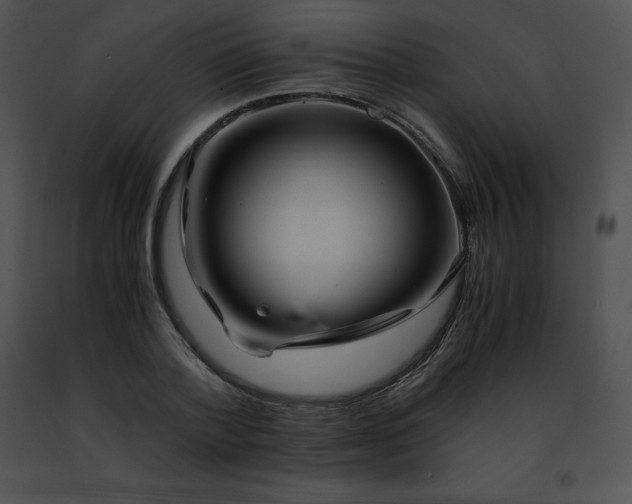 X0000091490788200708301935