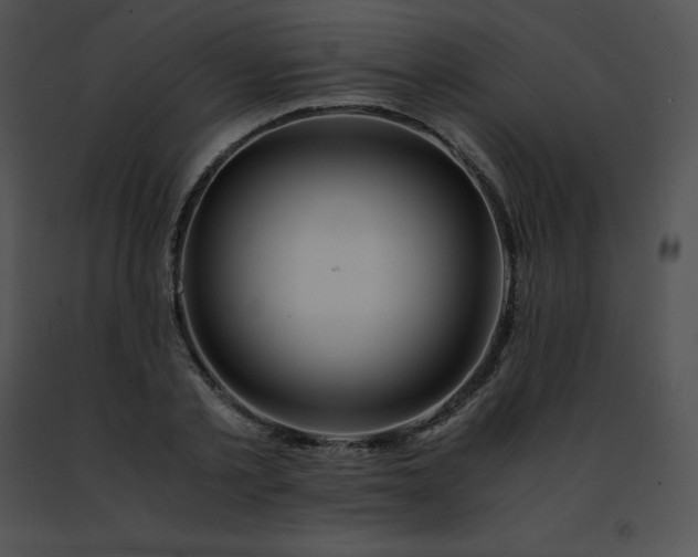 X0000091490789200708301935